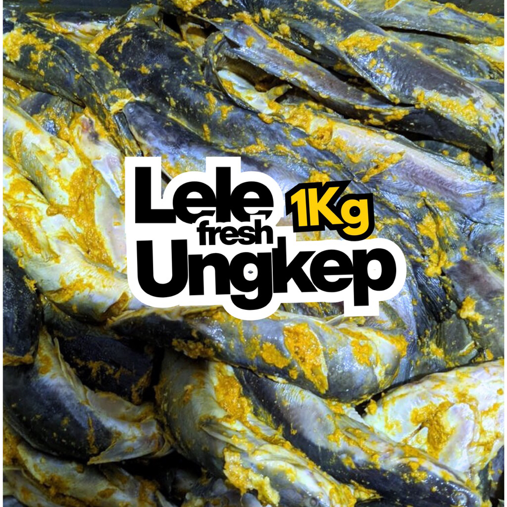 

YMS - LELE SEGAR KILOAN / LELE UNGKEP SIAP MASAK