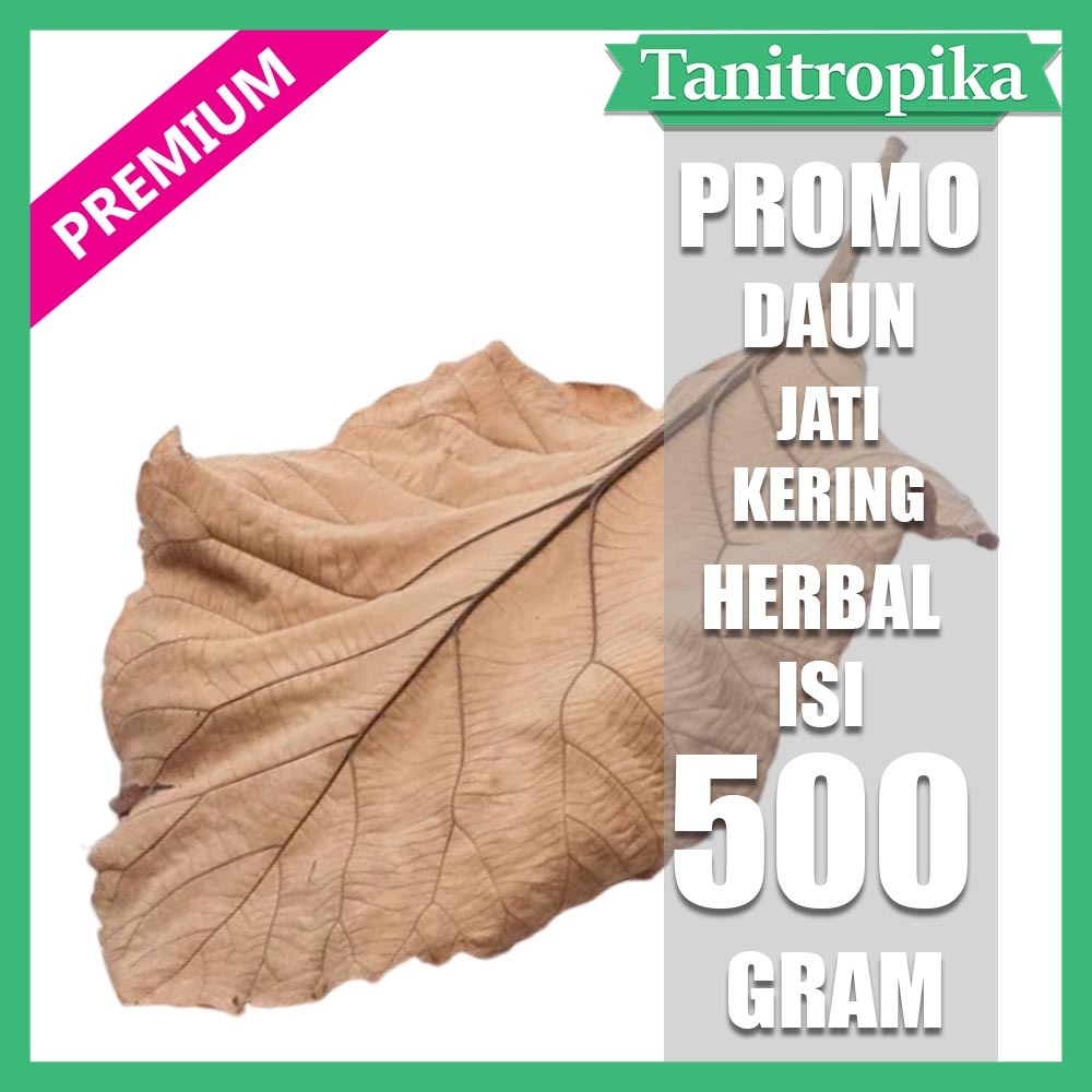 

Daun Jati kering 500 gram pucuk herbal alami tani tropika