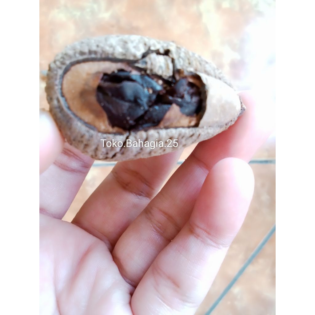 

KLUWEK/Murah/Kluwek Rawon