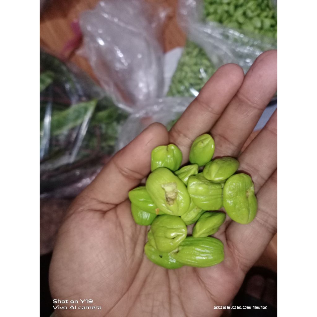 

PETE KUPAS BOLONG 1KG