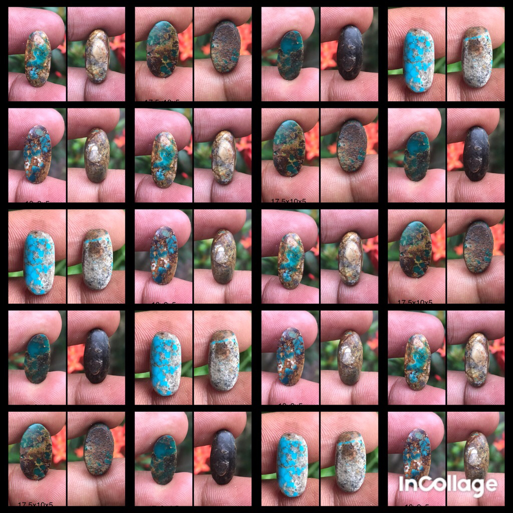 PIRUS PERSIA.NATURAL PIRUS PERSIA