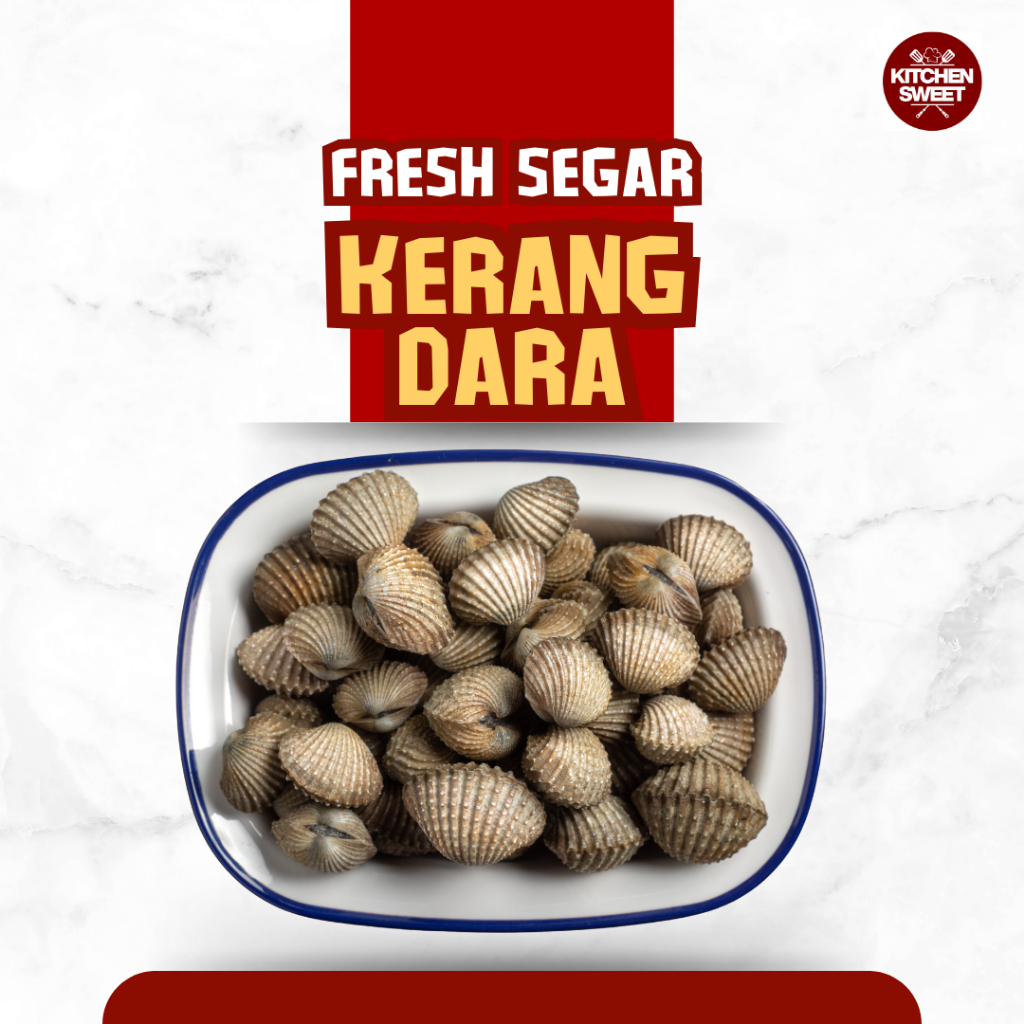 

Kitchen Sweet - Kerang dara Segar Fresh