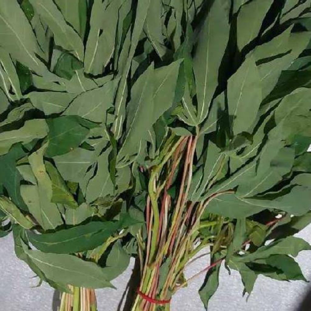

Sayur Daun Singkong Mentah 1 Ikat