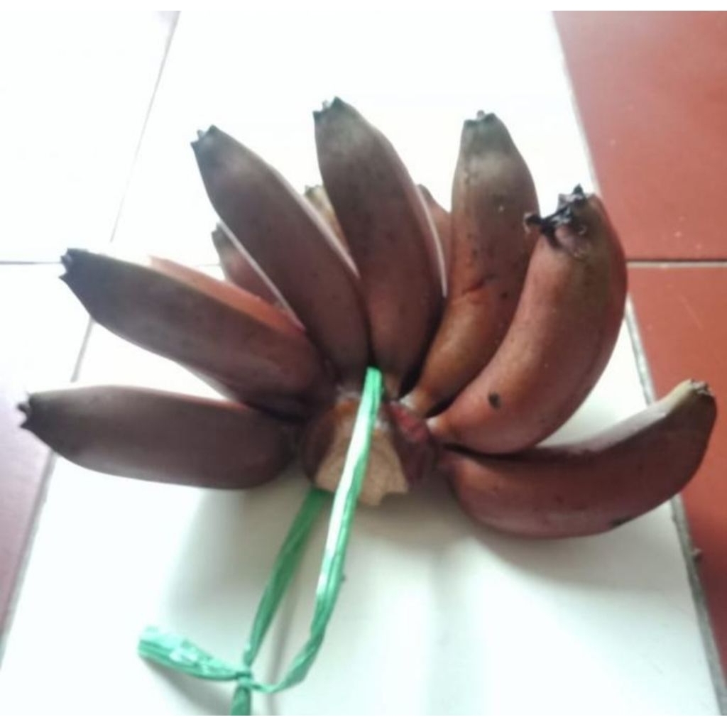 

Pisang raja merah super