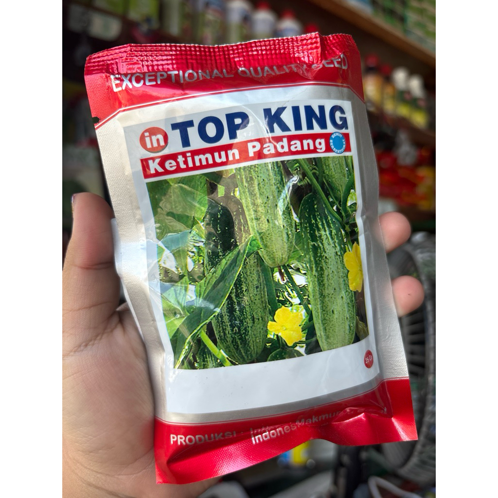 TOP KING Ketimun Padang Benih / benih timun / bibit timun / harga termurah / asli