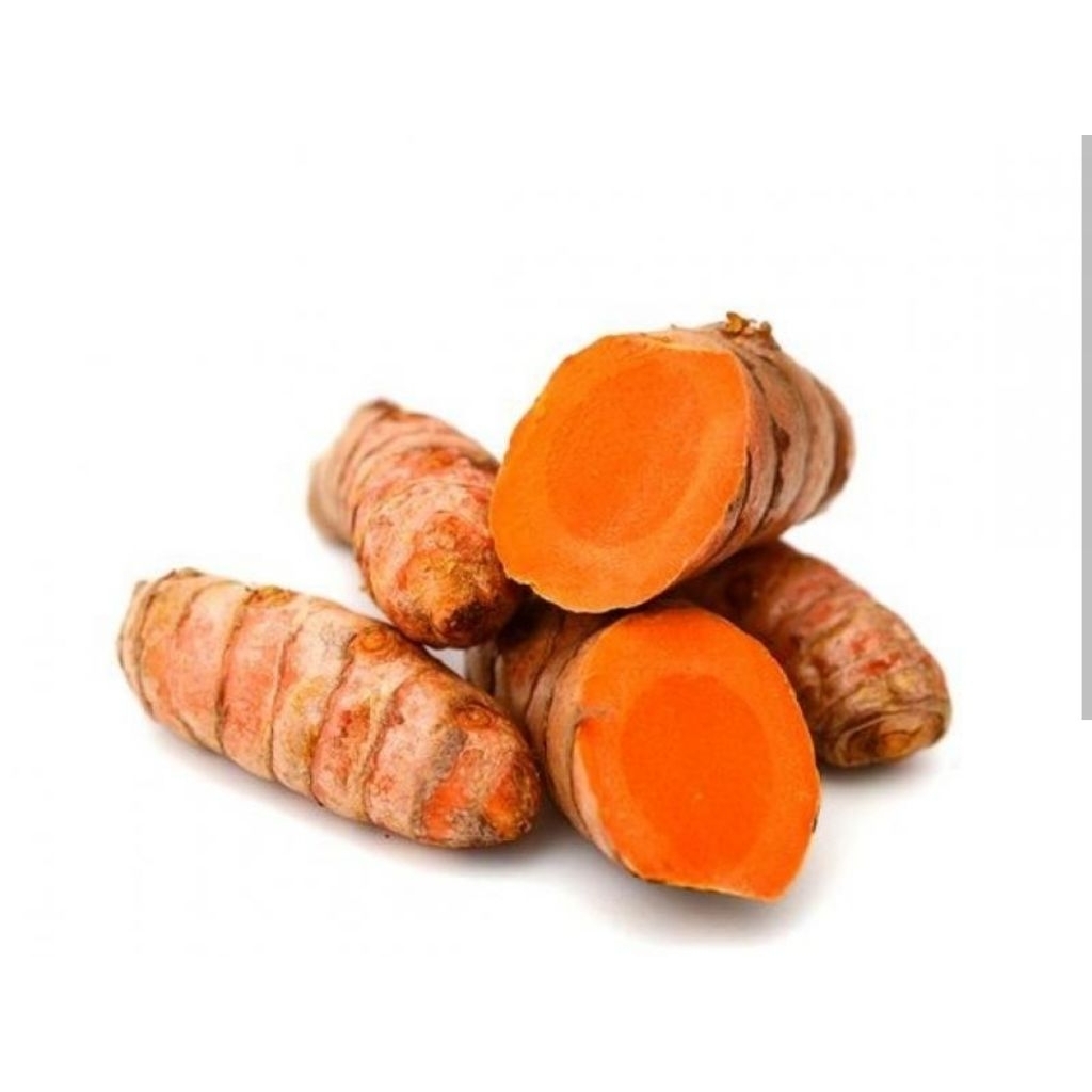 

Promo kunir fresh 1kg