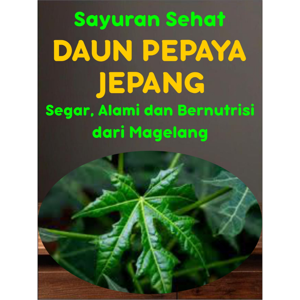 

Daun Pepaya Jepang Segar 200 Gram – Sayur Fresh – Sehat & Bergizi, murah Rp 4.000