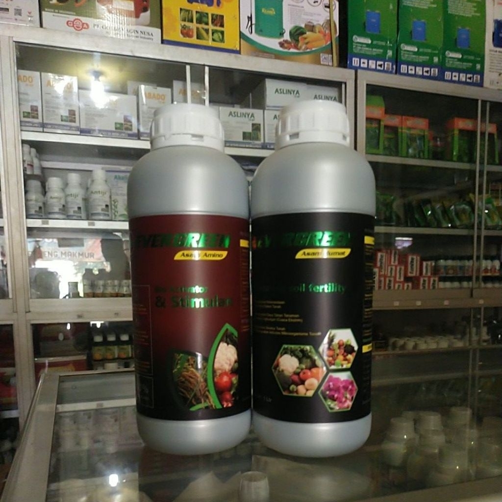 ASAM AMINO DAN ASAM HUMAT  EVERGREEN