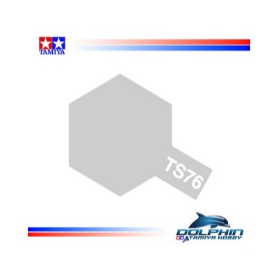 Ts-76-Mica Silver