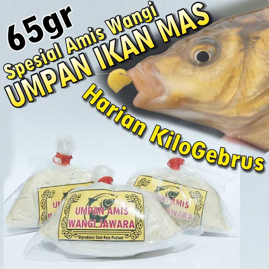 Umpan ikan mas paling gacor dan simpel untuk di racik, Umpan ikan mas amis wangi buat mancing harian