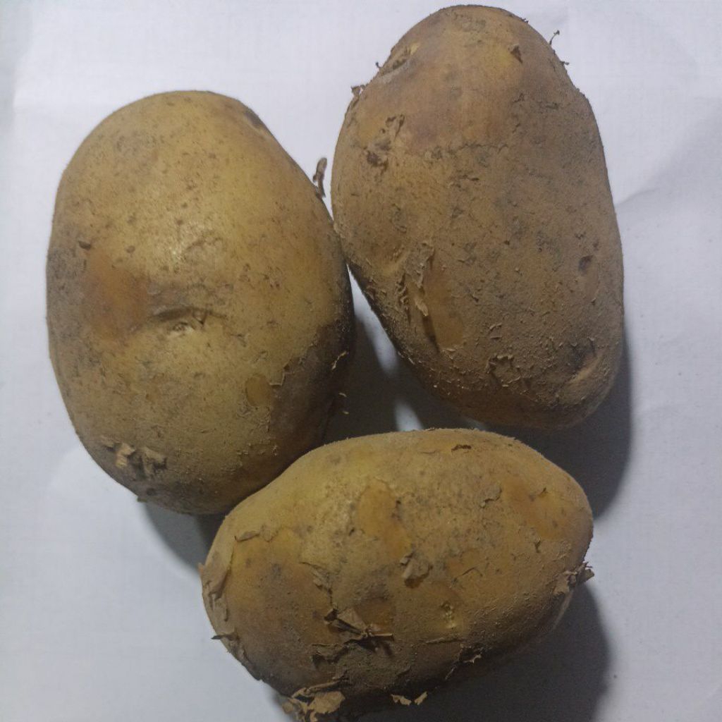 

promoo kentang jumbo harga 1kg