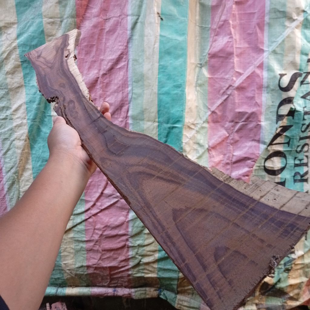 kayu sonokeling akar no. 1