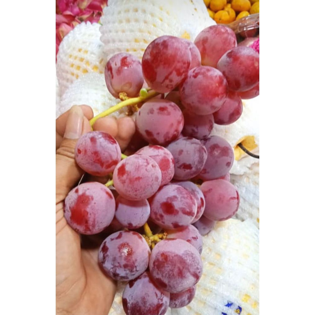 

buah anggur manis segar