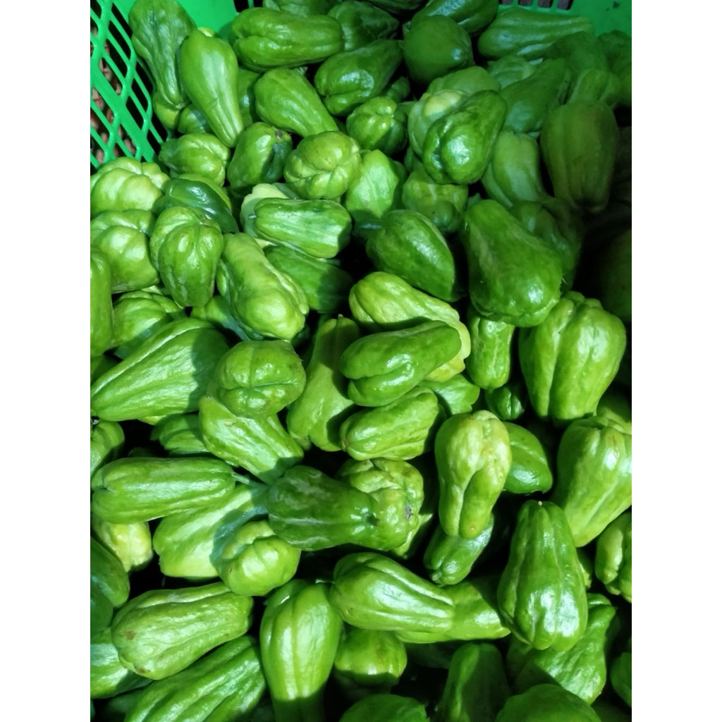 

Labu Siam Baby Segar – Sayuran Sehat dan Renyah untuk Masakan Rumah