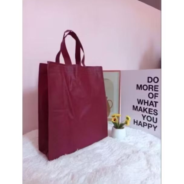 

[10 Tas] READY STOK TAS SPUNBOND TALI 35*45 Cm READY STOK WARNA BERVARIASI