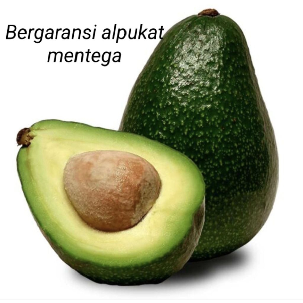 

Alpukat Mentega Jumbo 1 Kg | Isi 3–5 Daging Tebal Manis Lembut | Bisa COD