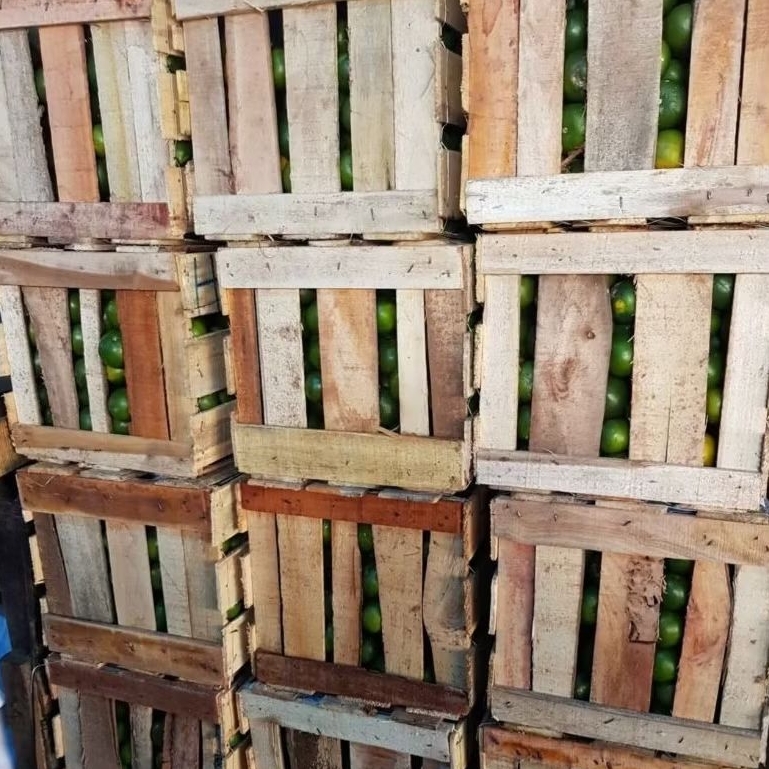 

Jeruk peras pontianak petian 20 kg.