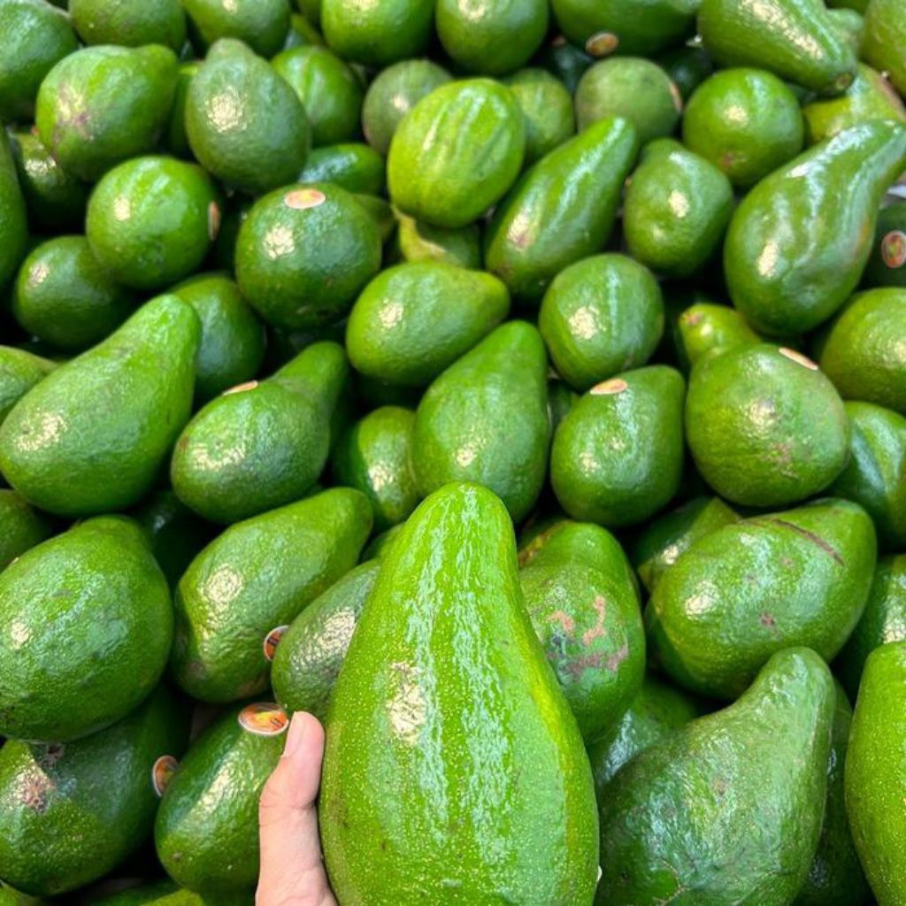 

Alpukat Mentega Super Jumbo 250 gram