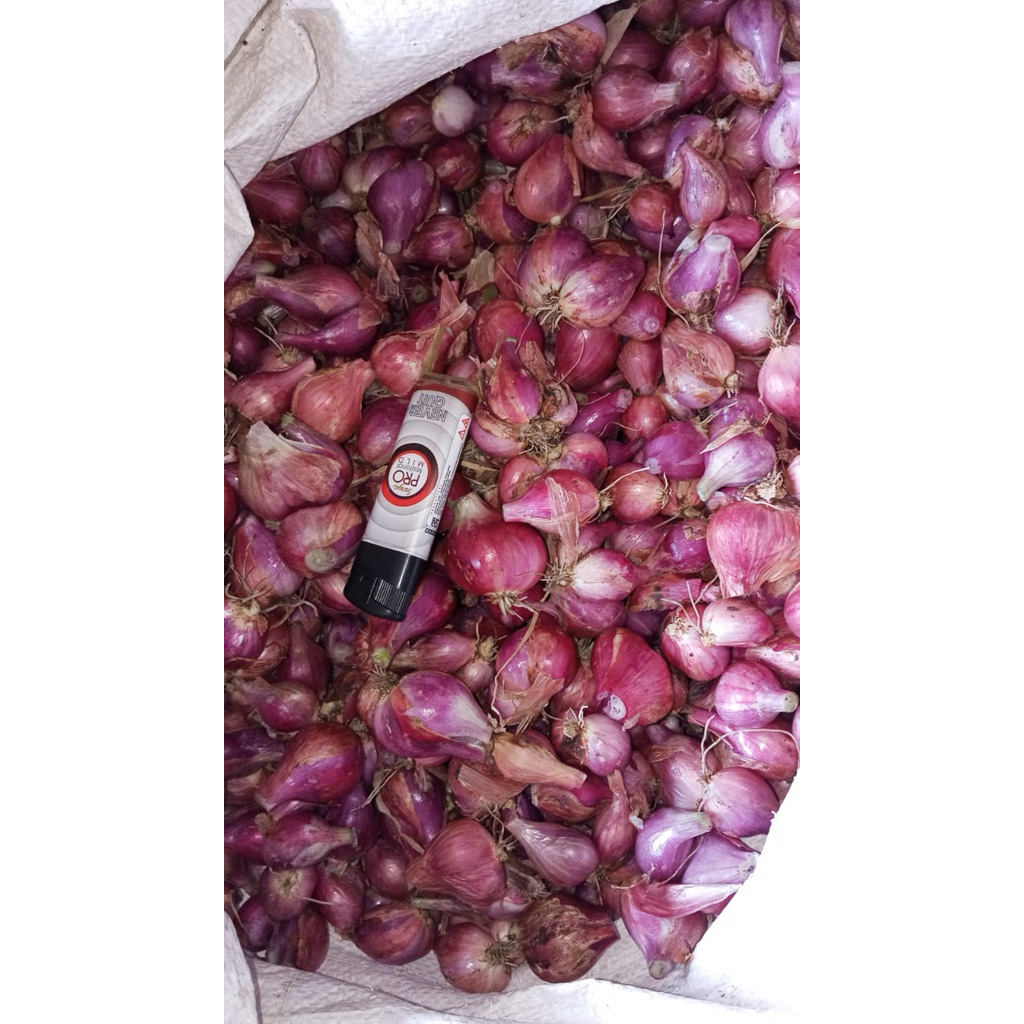 bawang merah 1 kg bawang nganjuk