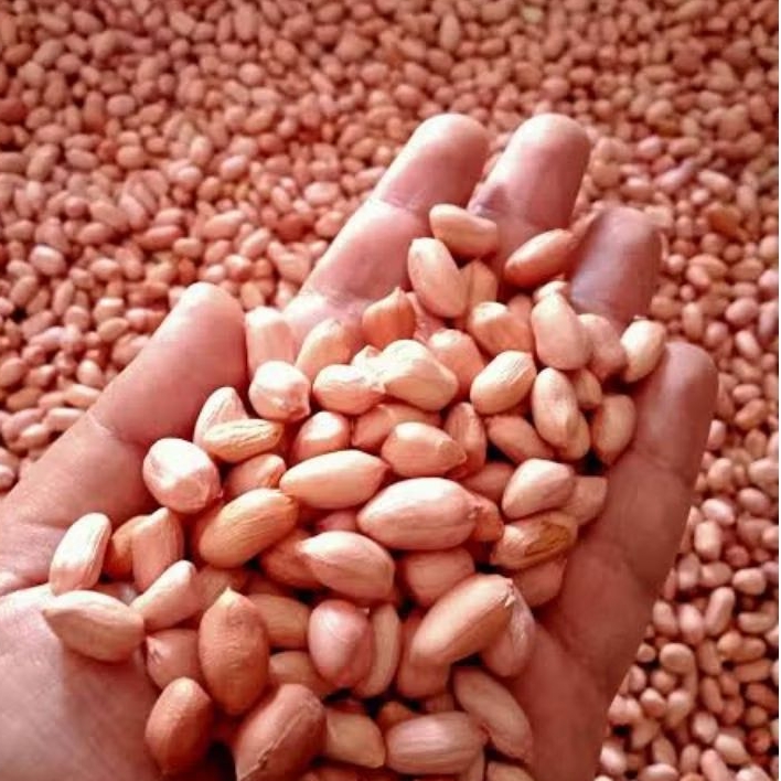 

Kacang Tanah Kupas 500 Gram Free Ongkir