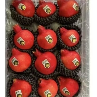 

Buah delima Tunisia merah super fresh gift keranjang -+ 10kg