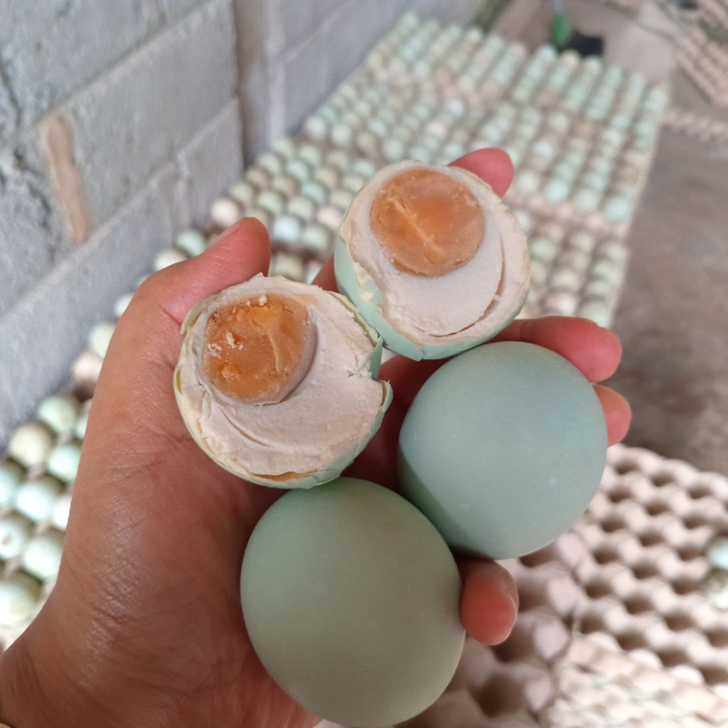 

Telur Asin Matang Siap Makan Enak Bergizi Masir grade AB isi 20 butir