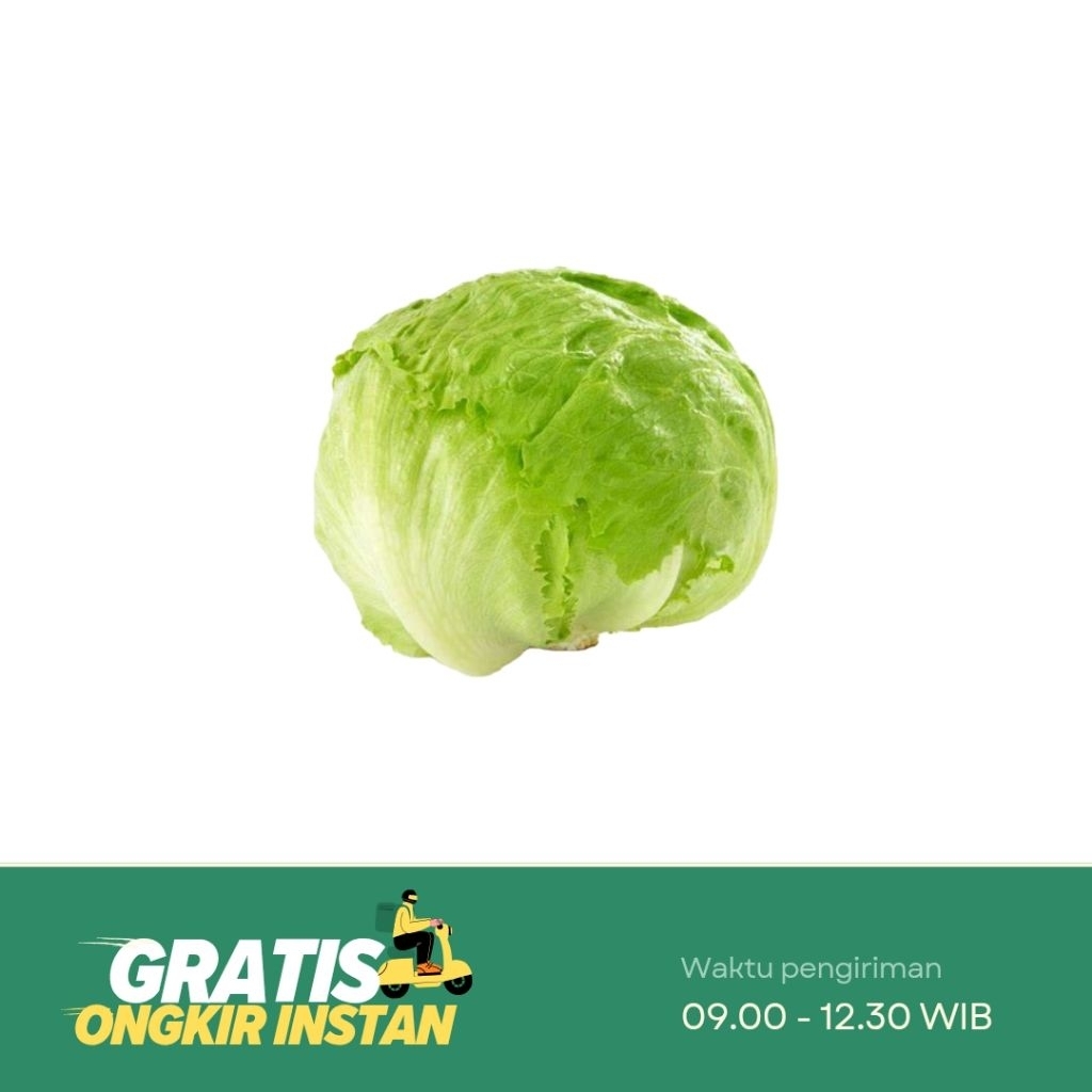 

Lettuce Iceberg / Selada Bokor Salad 250 gr / 500 gram
