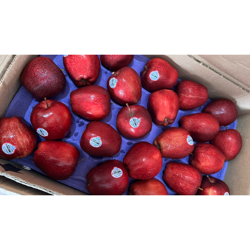 

apel merah reddel USA