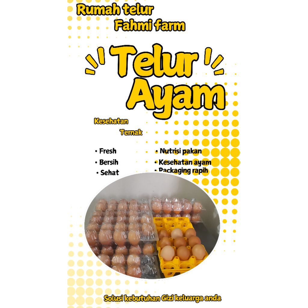 

Telur Ayam Fresh Sehat Langsung dari Kandang Sendiri 1 butir