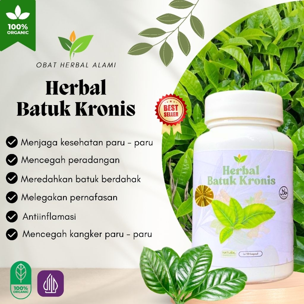 

Obat Herbal BATUK Rejan, Bronkitis,batuk menahun