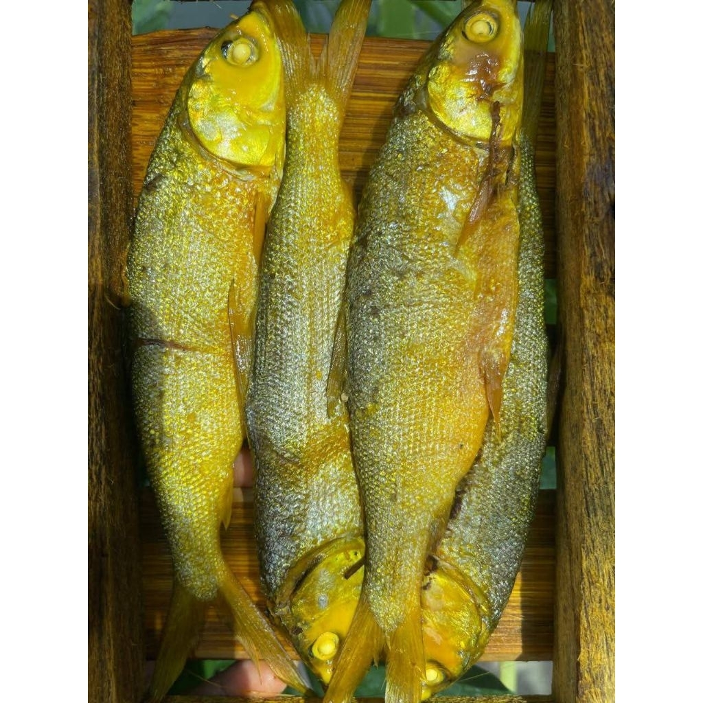 

IKAN BANDENG PAPANAN ISI 4