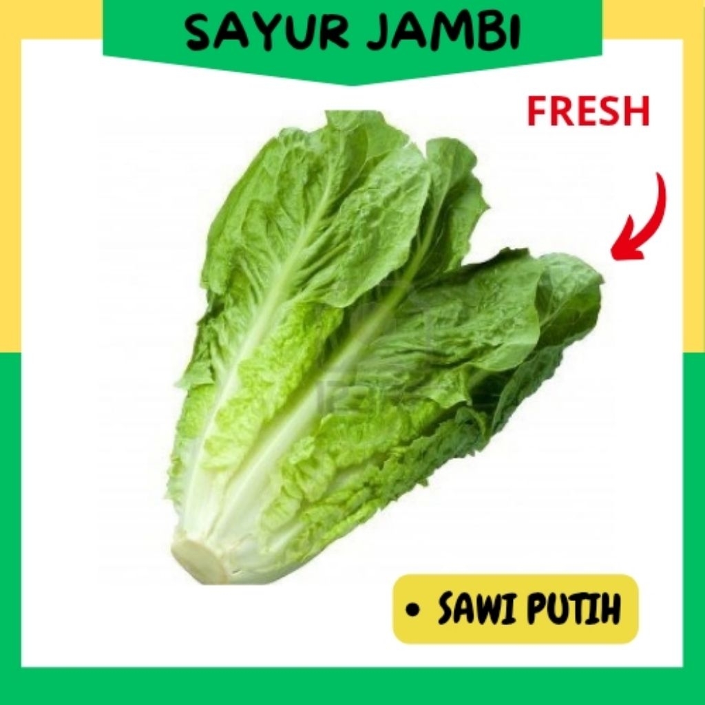 

INSTAN Sayur Sawi Putih~sayurjambi