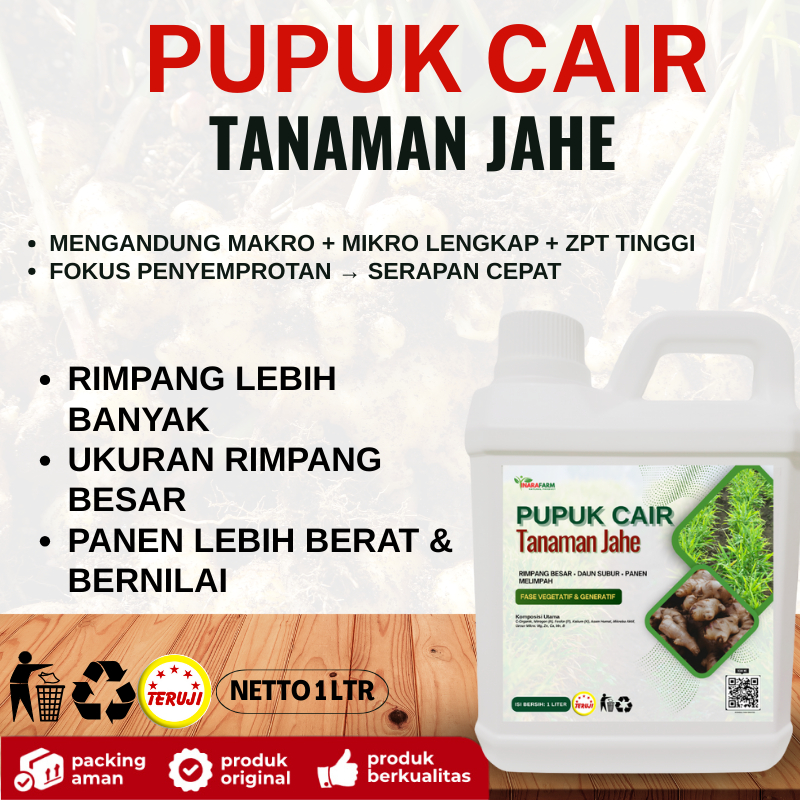 Pupuk organik cair pembsar rimpang tanaman jahe /Pupuk jahe gajah/Pupuk booster pembesar umbi jahe
