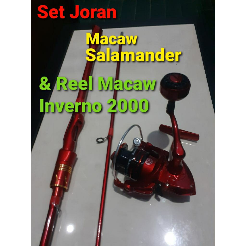 Set Joran Macaw Salamander & Reel Macaw Inverno 2000