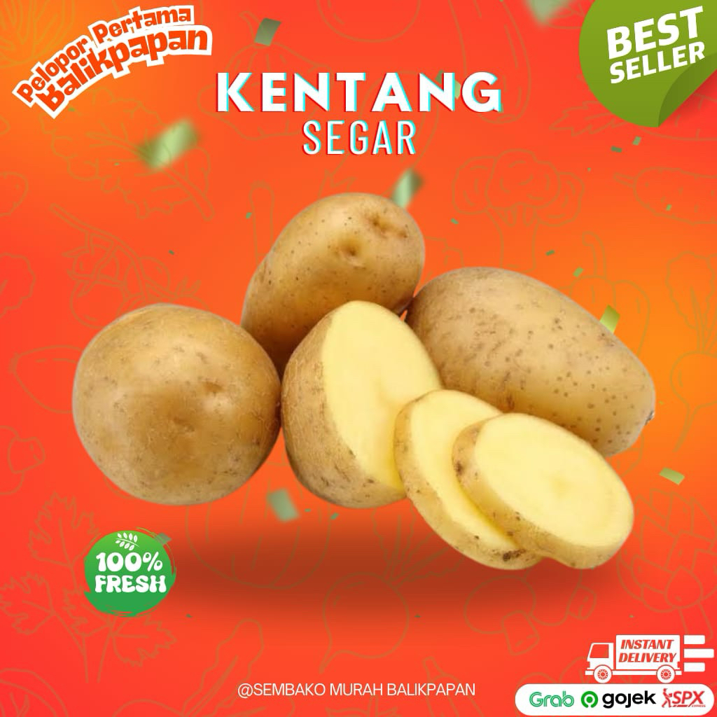 

kentang segar