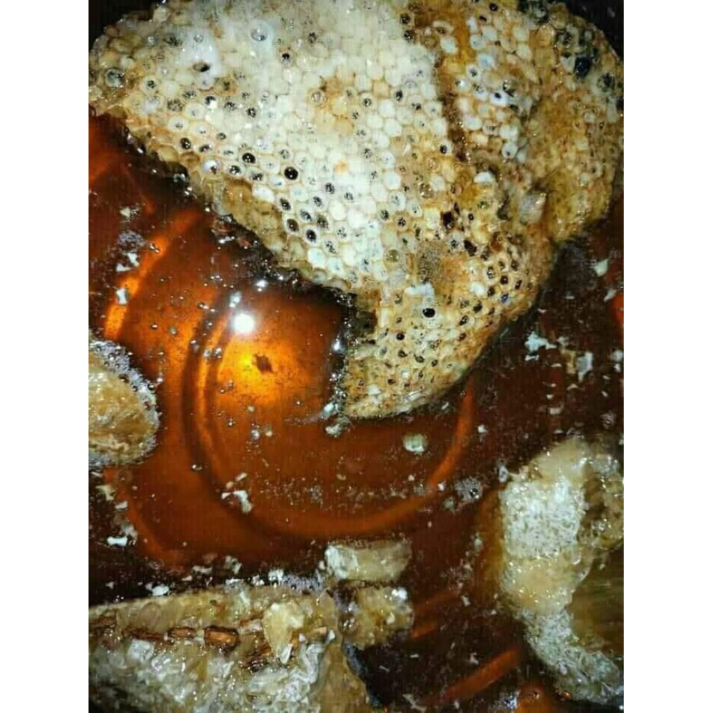 

MADU HUTAN ASLI 100% 1 KG