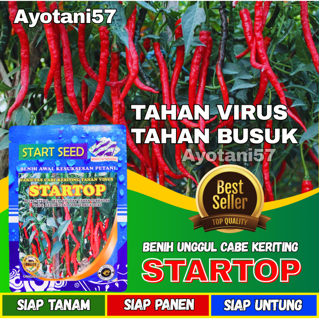 AYOTANI Bibit Cabe Keriting STARTOP Benih Cabe Keriting Bibit Cabe keriting unggul tahan virus