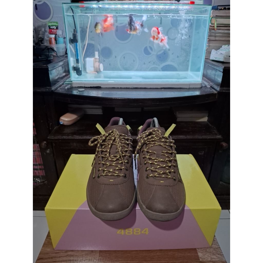 Compass tribune 4884