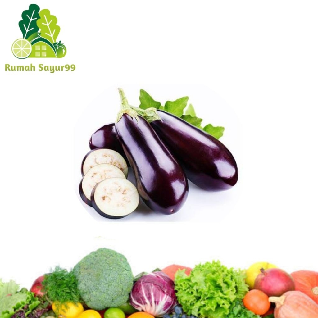 

Terong ungu terung ungu segar