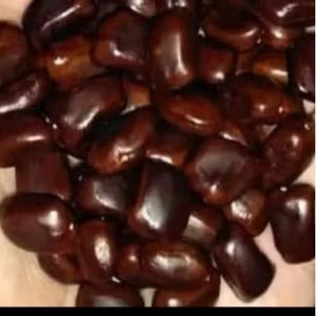 biji asem jawa, biji benuh asem jawa tua, mateng pihin bisa buat benih dan alternatif pengobatan