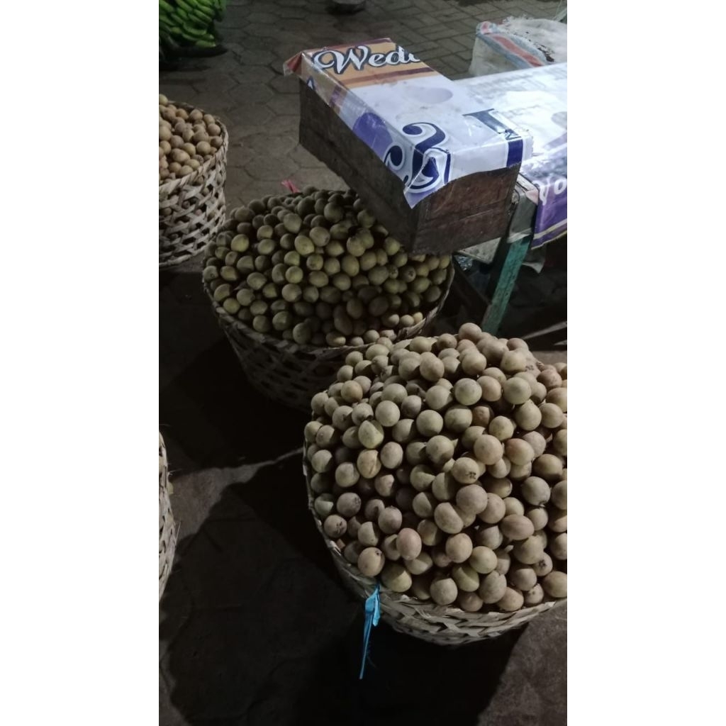 

Sawo Kecil Matang Masak Pohon 1 kg