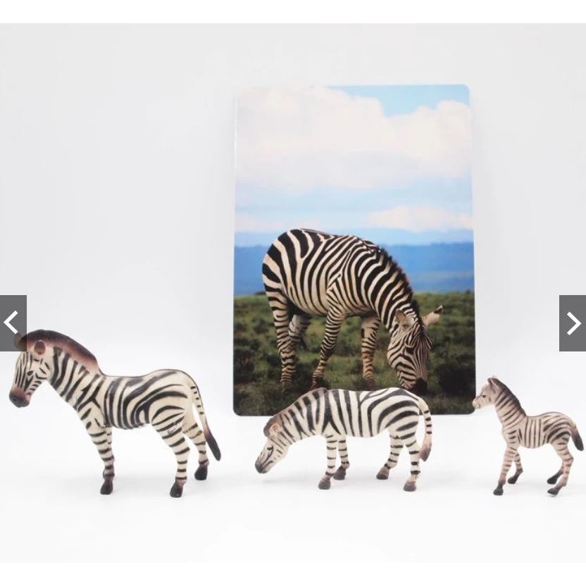 Animal Family / Zoo Animals / Figure Hewan