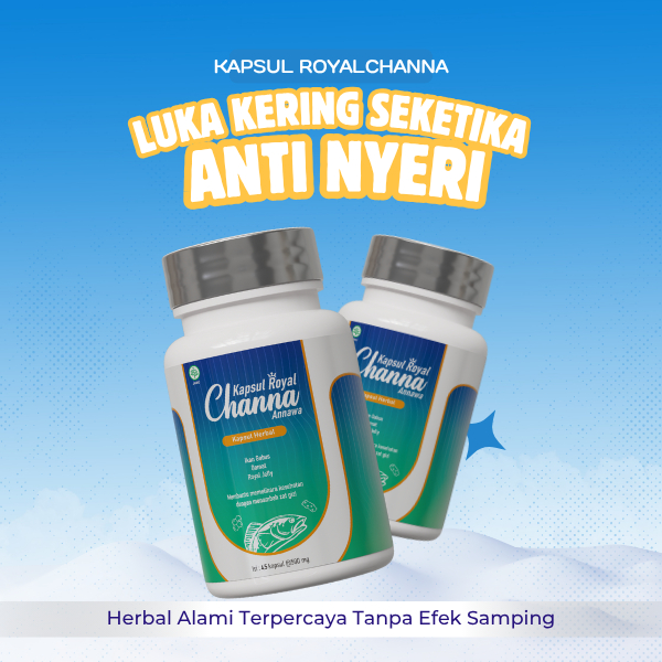 ROYAL CHANNA KAPSUL PENGERING LUKA DIABETES AMPUH LUKA OPERASI OBAT LUKA AGAR CEPAT KERING REDAKAN N