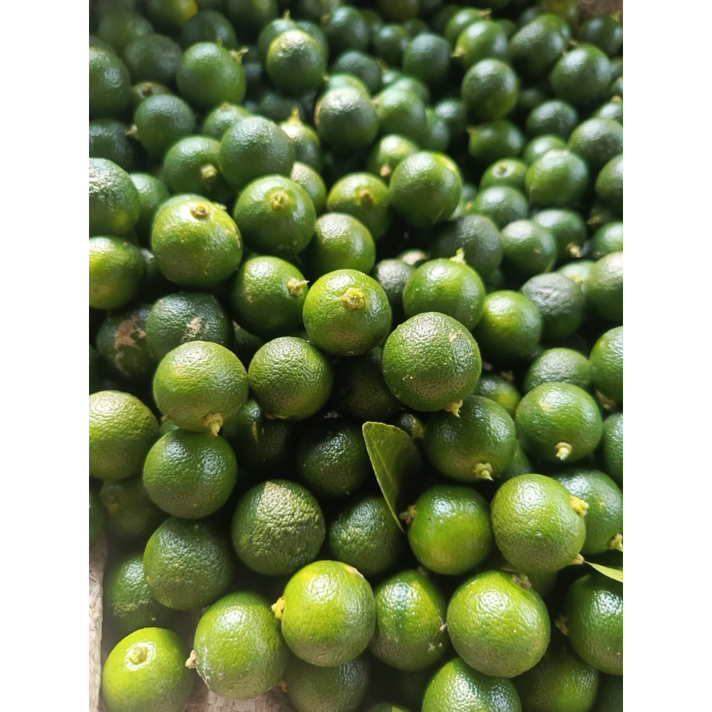 

Jeruk Songkit / Jeruk Kunci