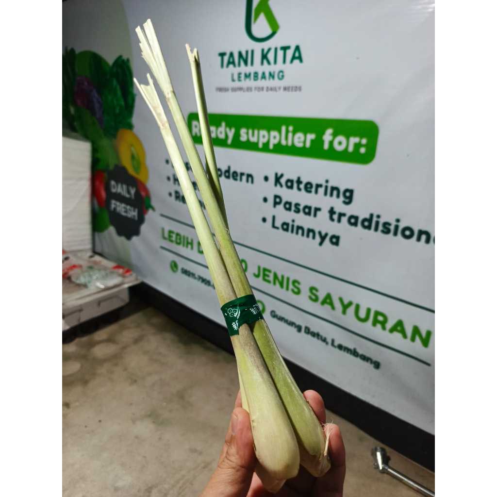 

Sereh 200gr | Serai Segar Bumbu Dapur | Sereh Fresh Tani Kita Lembang