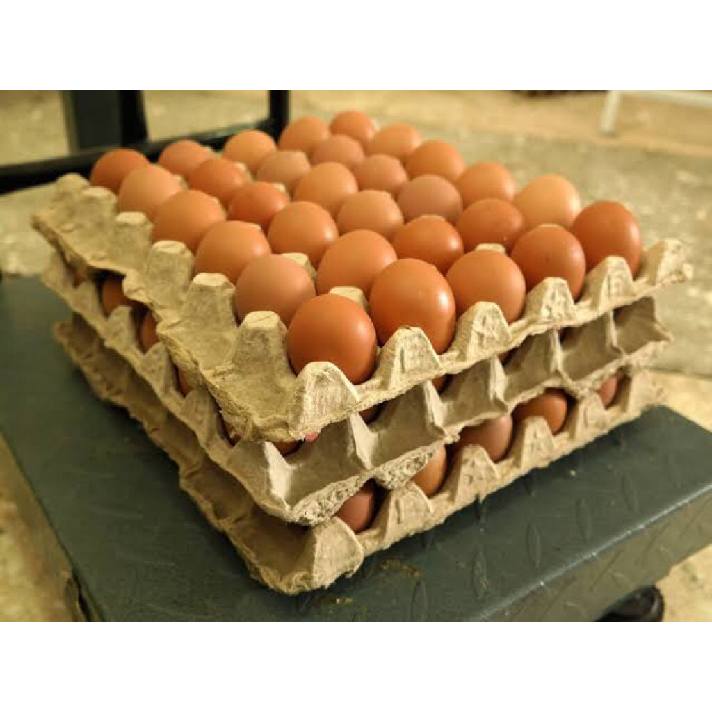 

Telur Ayam Negeri per Trey -+ 2 Kg