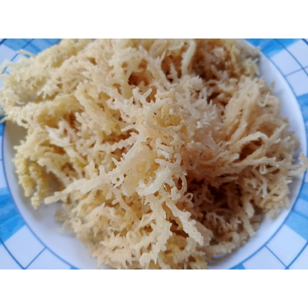 

RUMPUT LAUT KERING PREMIUM Untuk Dibikin ES