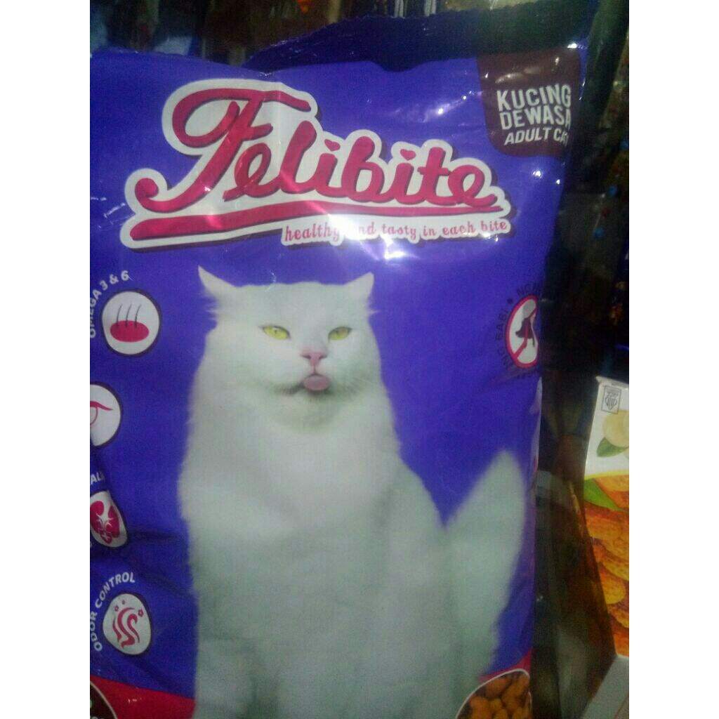 PakanKucingFelibite