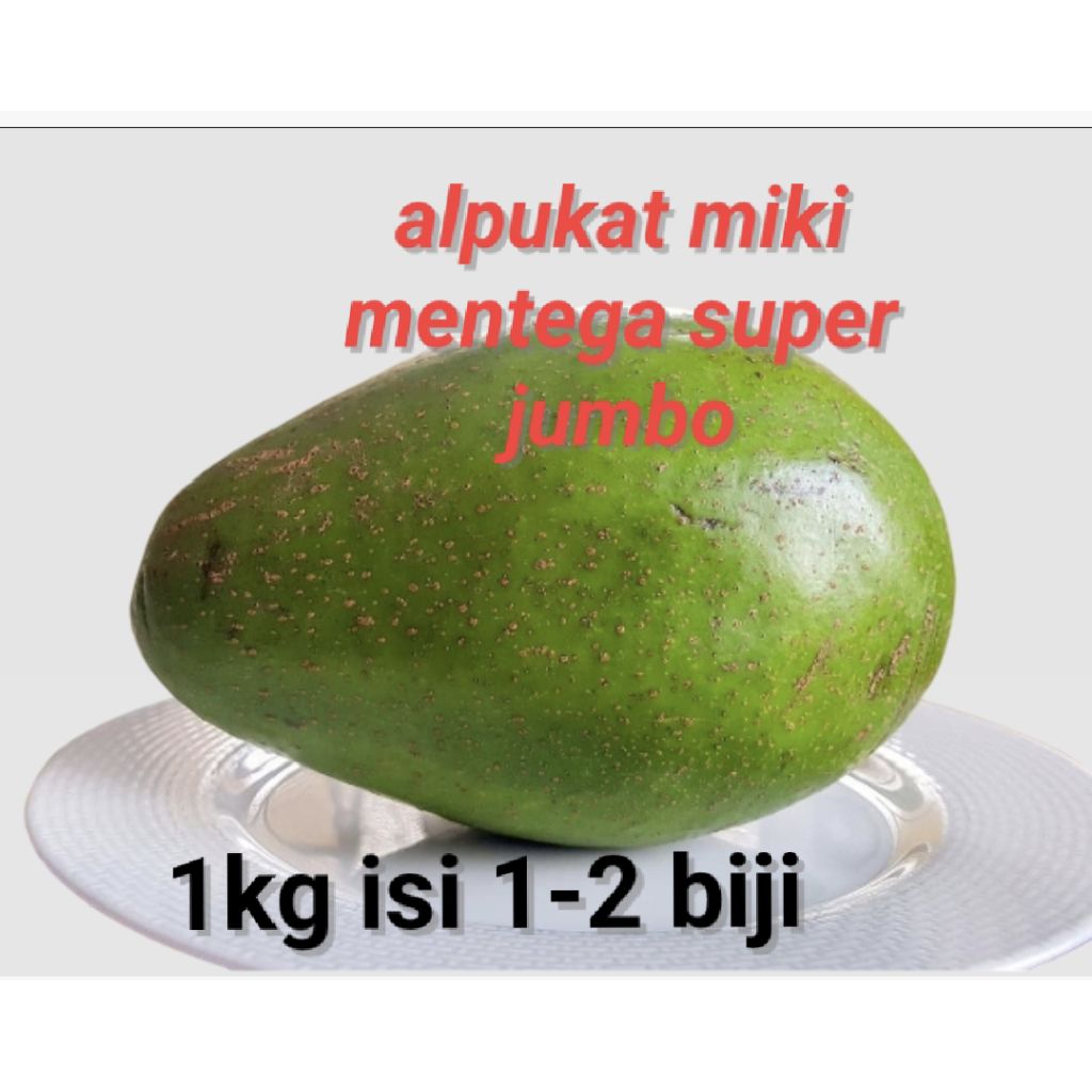 

Alpukat Miki Mentega Super Jumbo Premium 1Kg Isi 1–2 Butir – Alpukat Segar Creamy Bergizi