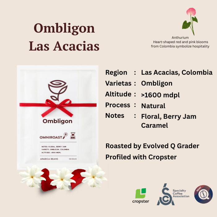 

Ombligon Colombia Las Acacias - Exotic Arabica Specialty coffee Roasted by Rosest Rosetery